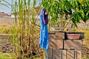 Mais, ein Feld und ein Zementbausteinstapel